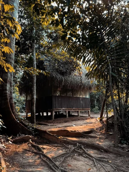 Meadow Healing Arts Retreats Ayahuasca Ceremonies 5